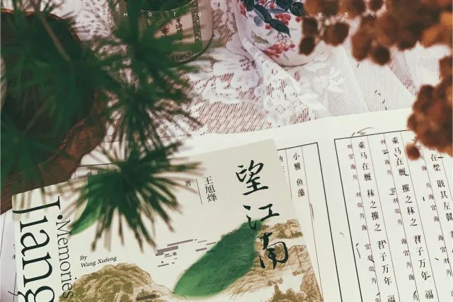 圖片