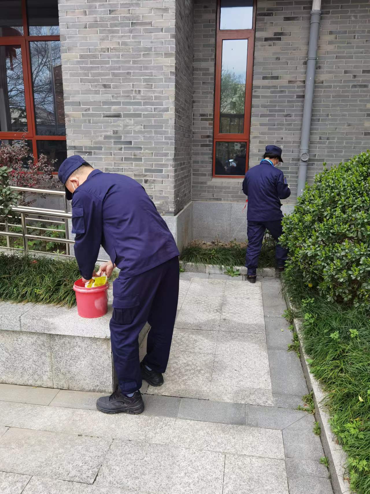 繞城村定期消殺1.jpg